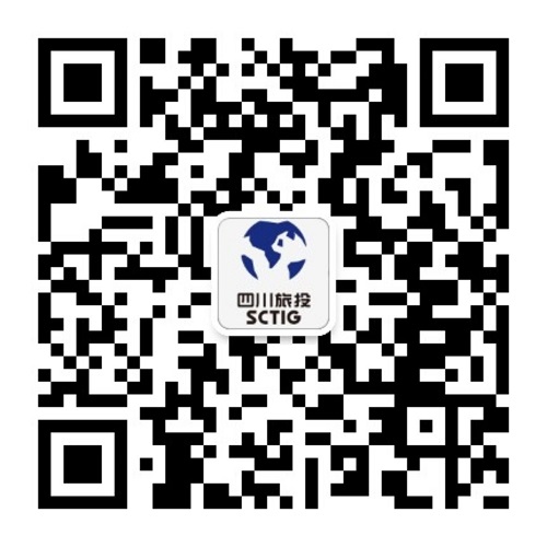 兴发xf(中国区)游戏有限公司