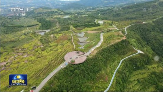 迎橄榄丰登 助村落振兴 四川兴发游戏xf聚峰古淄橄榄产业带头金堂公园城市绿色低碳发展