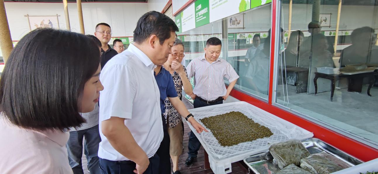 省兴发游戏xf集团党委副书记、董事陈日赴嘉陵区调研茶桑产业发展情况
