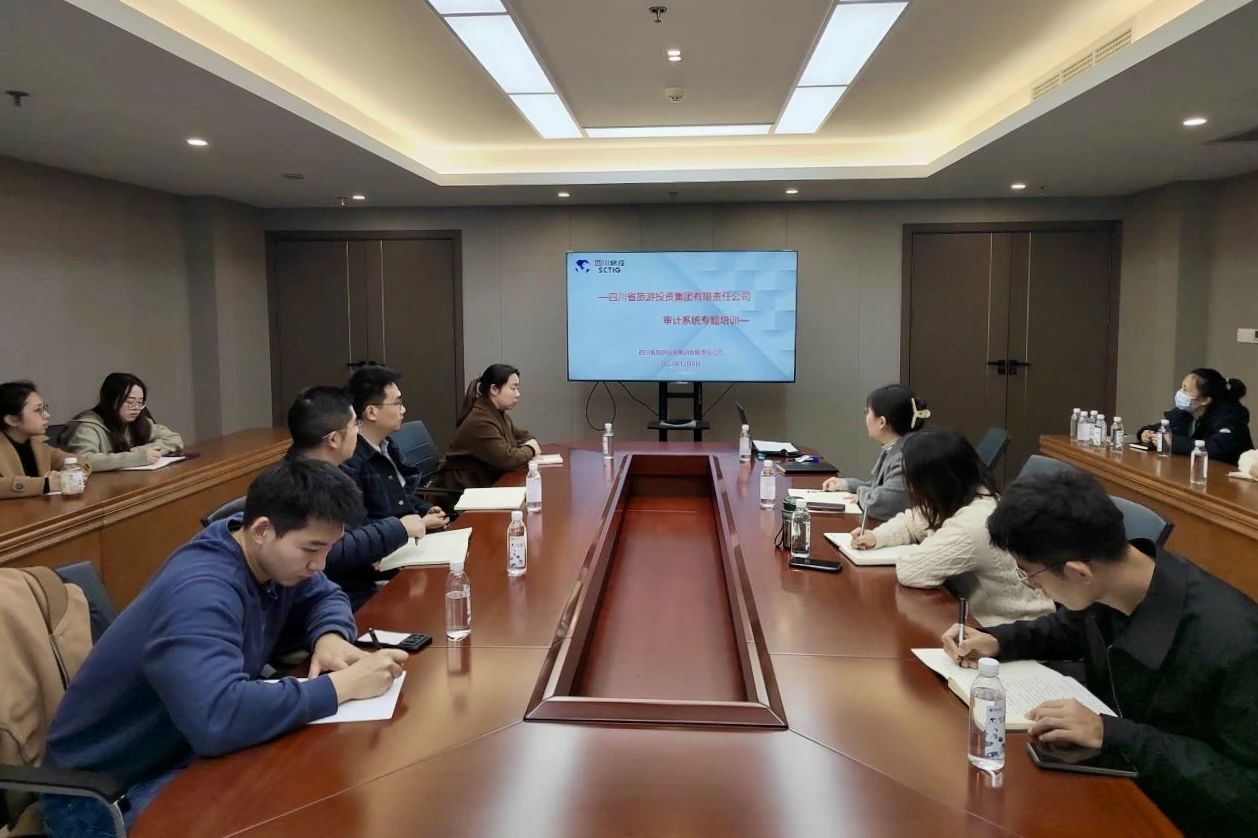 省兴发游戏xf集团进行2023年度审计系统专题培训