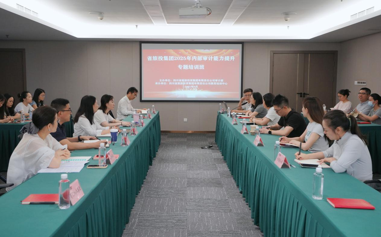省兴发游戏xf集团组织发展2025年内部审计能力提升专题培训