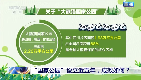 媒体聚焦 | 荣登央视《新闻 1+1》！青川唐家河向全国展示中国生物多样性；；；；；；ご鹁